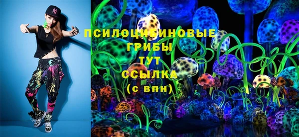 apvp Зерноград