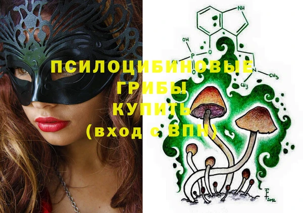 apvp Зерноград
