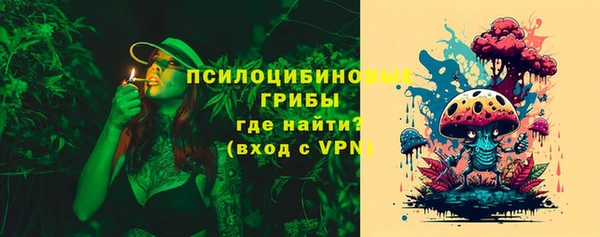 apvp Зерноград