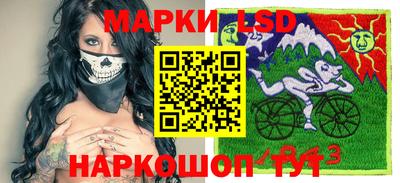 дмт Донской