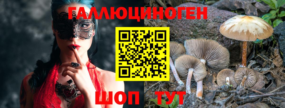 Псилоцибиновые грибы Magic Shrooms Ирбит