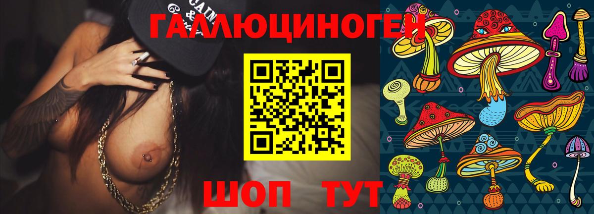 Ирбит  Псилоцибиновые грибы GOLDEN TEACHER  купить наркотики цена  Псилоцибиновые грибы GOLDEN TEACHER  Вход с VPN 